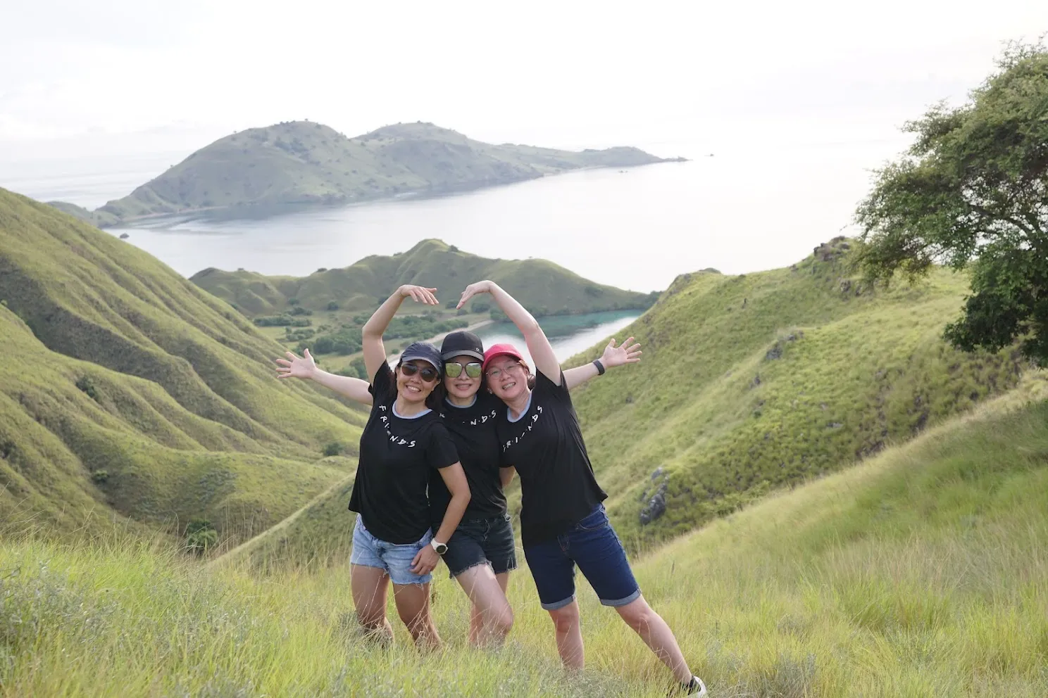 Single Traveler Options on Pinta Liveaboard Komodo in 2027: Tips and Insights