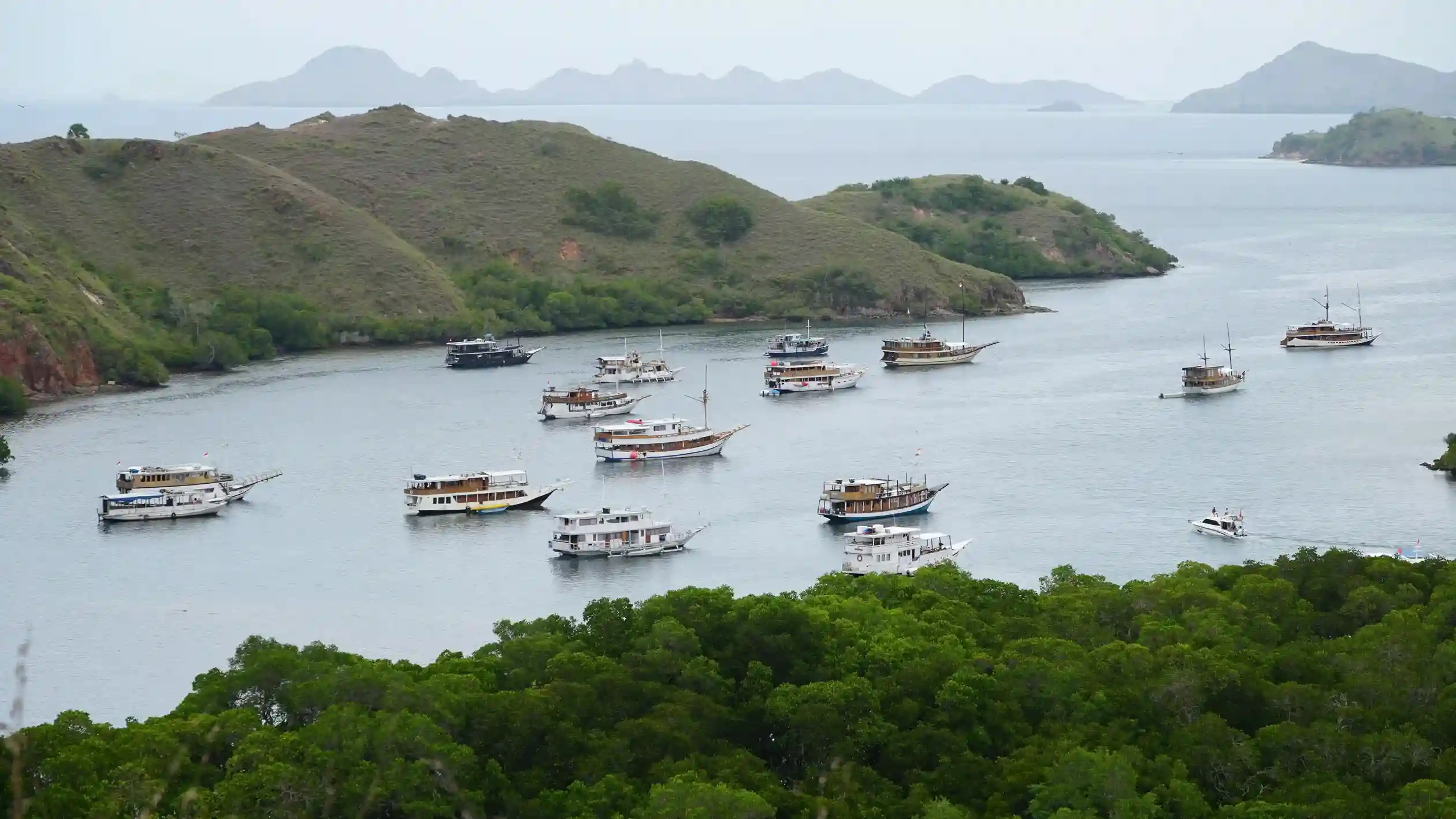 What to Expect on a Komodo Island Liveaboard in 2026 (Part 9)