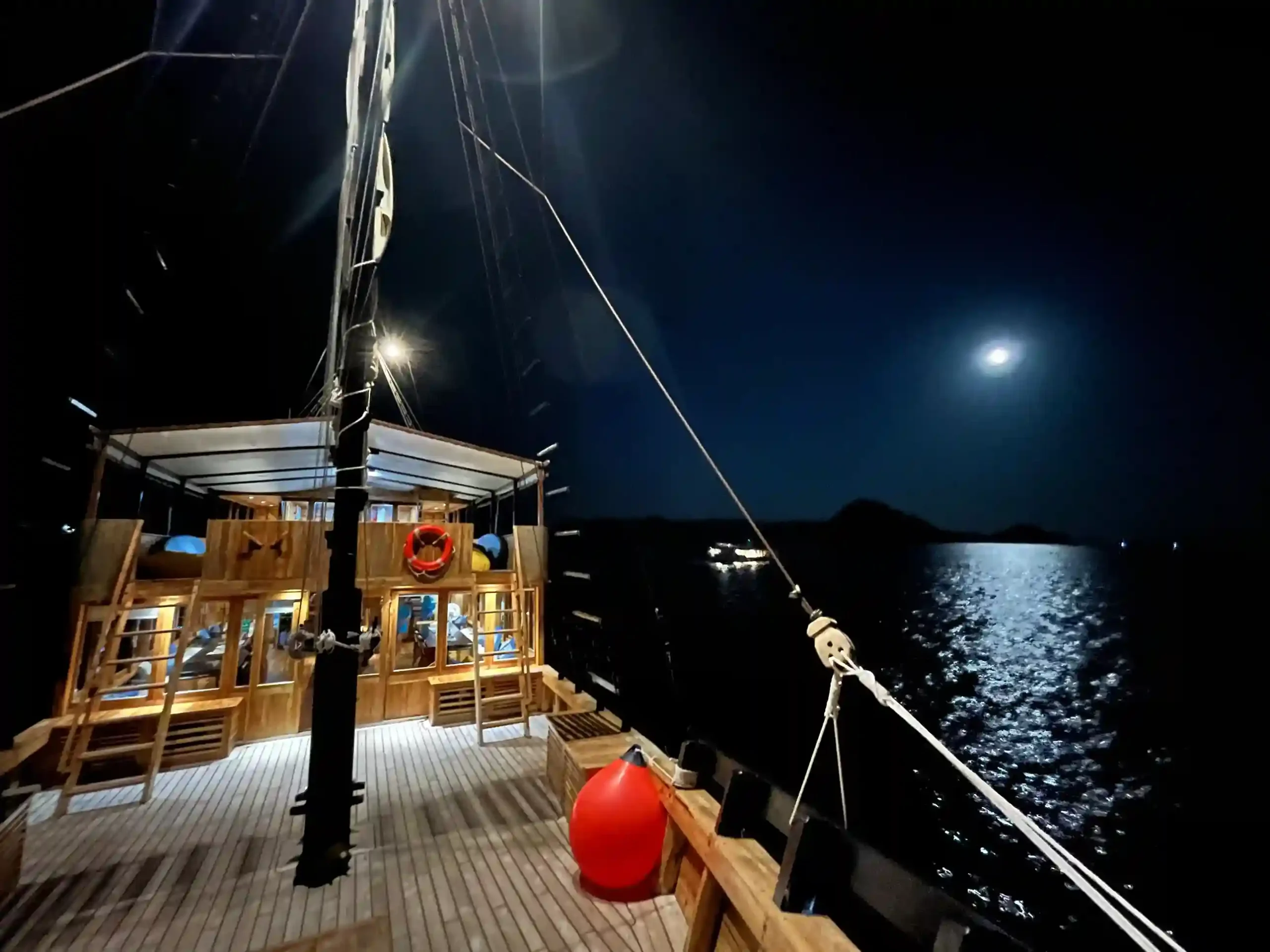 Night Diving in Komodo: Best Sites, Safety Rules & What You See After Dark (2027)